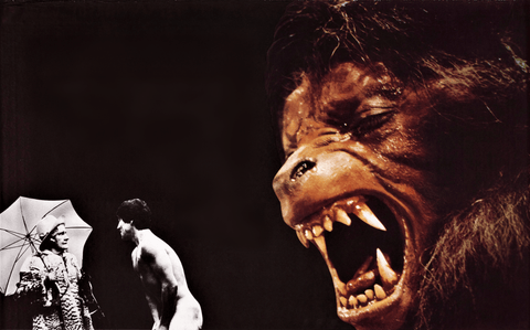 The Decade of the Werewolf: A Moment in the Moonlight