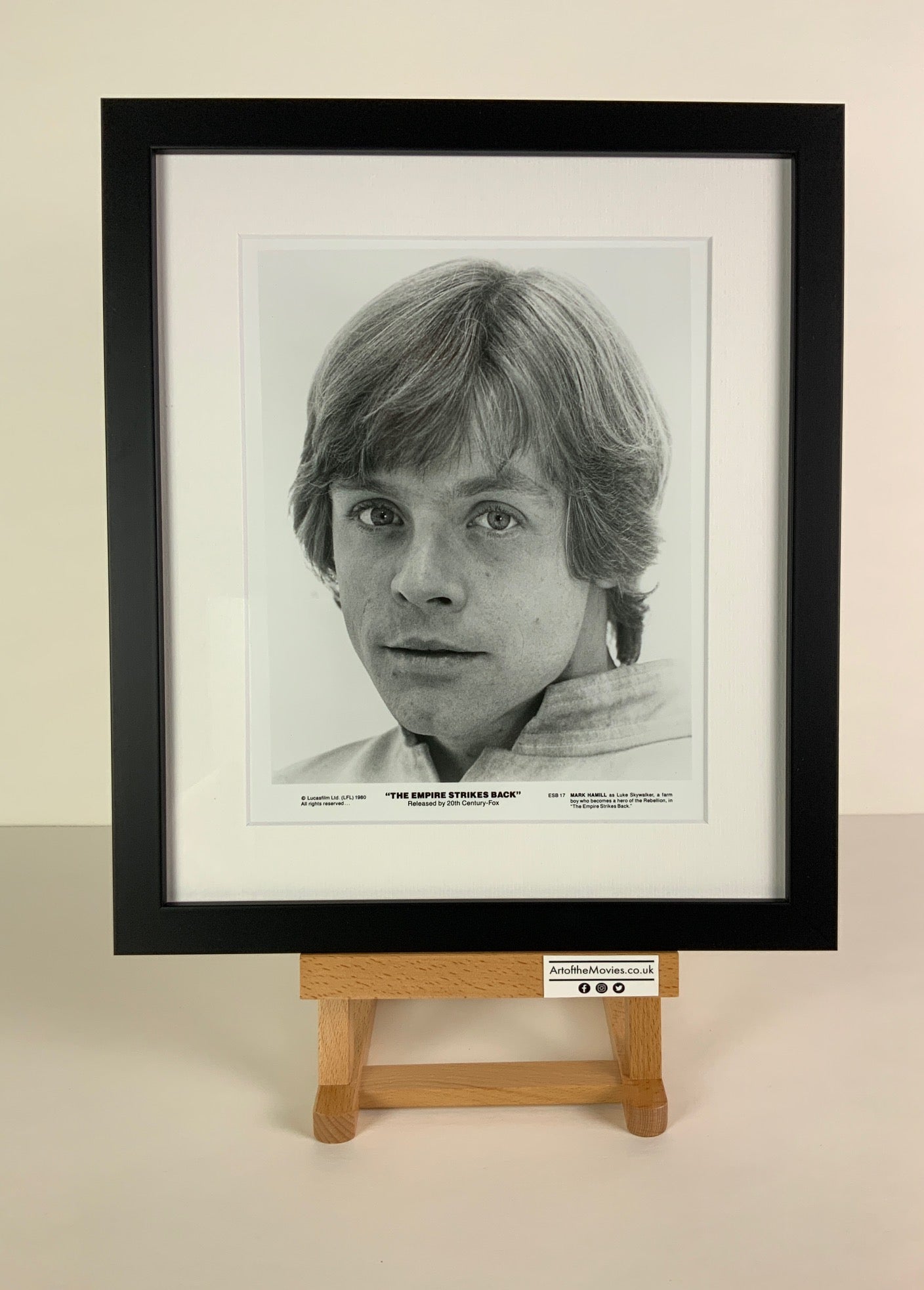 An original 8x10 promotional still of Mark Hamill as Luke Skywalker for the Star Wars film The Empire Strikes Back