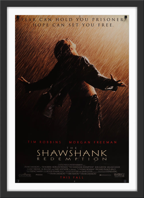 An original movie poster for the film The Shawshank Redemption