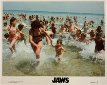 Load image into Gallery viewer, Jaws - 1975 (Framed)