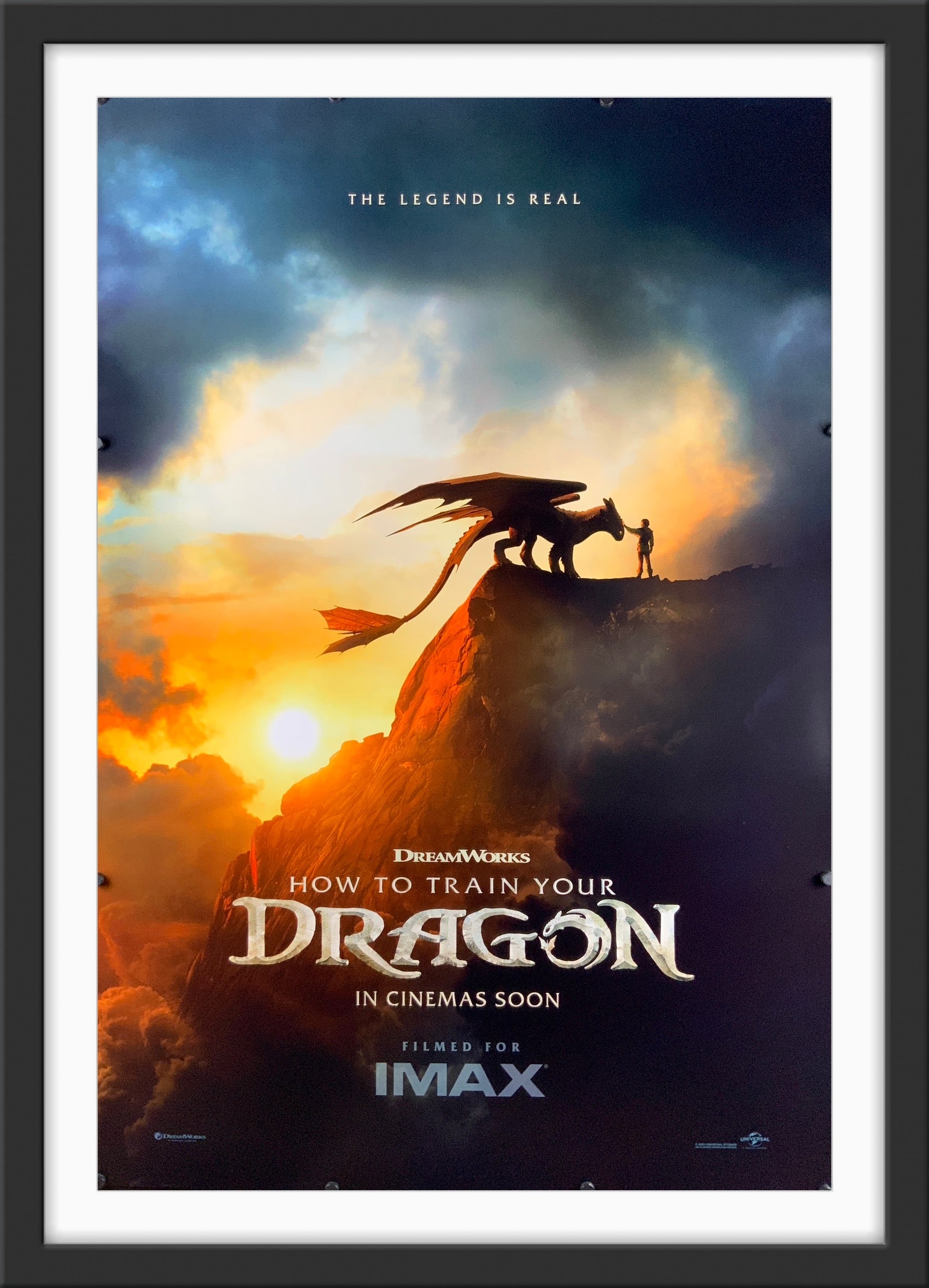 How To Train Your Dragon 2 Dragons Poster