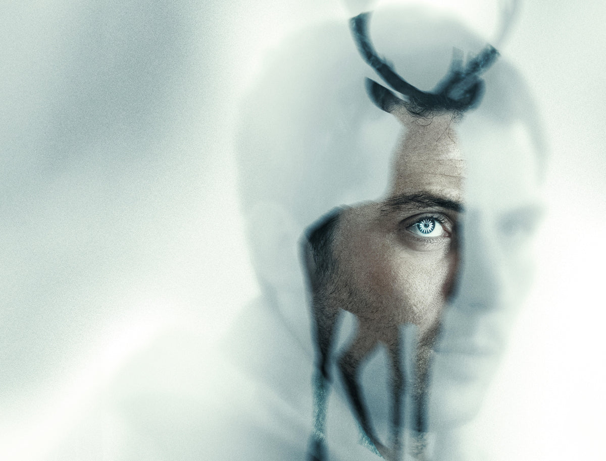 New Movie Poster Discoveries