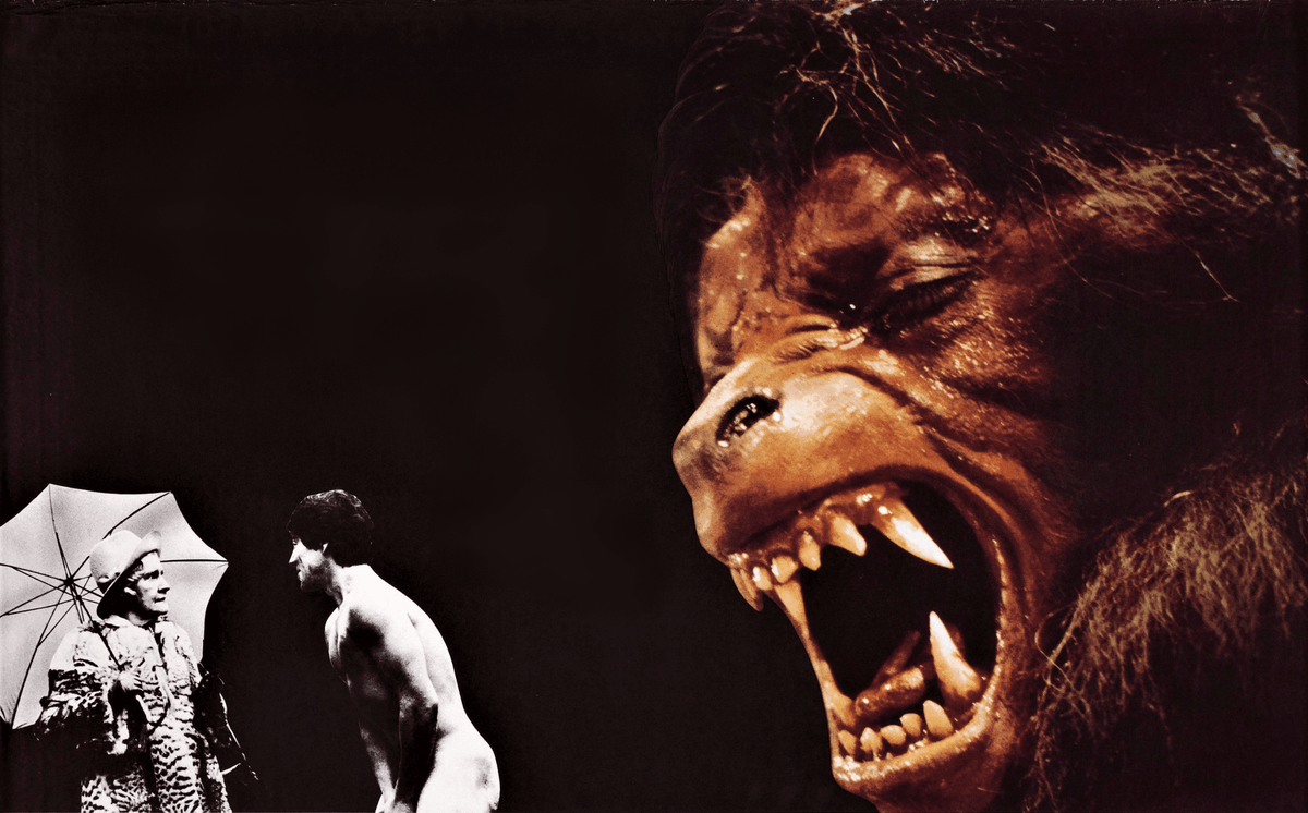 The Decade of the Werewolf: A Moment in the Moonlight