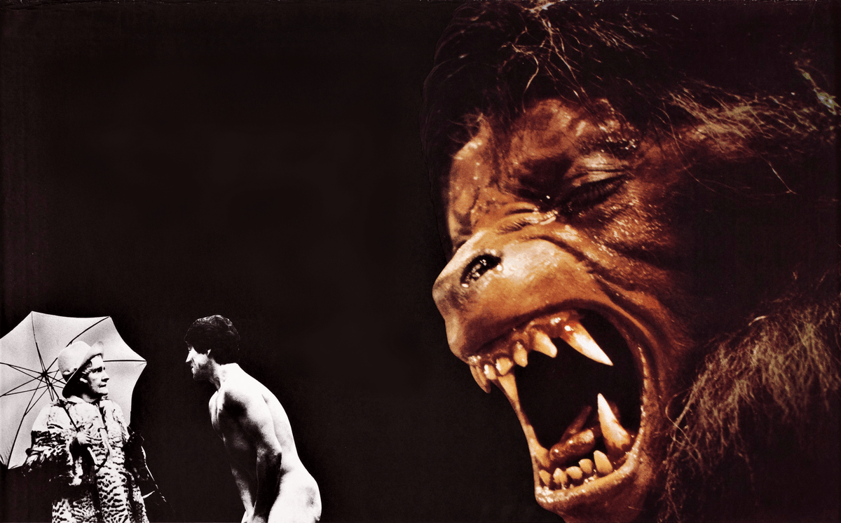 The Decade of the Werewolf: A Moment in the Moonlight