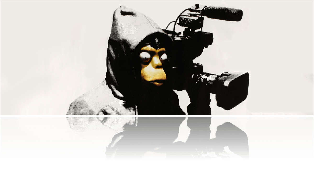 An image of a masked chimpanzee holding a camera for the Banksy documentary Exit Through The Gift Shop