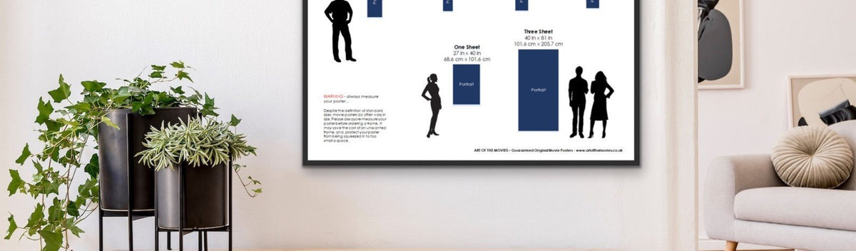 An Infographic giving Australian movie poster names and sizes