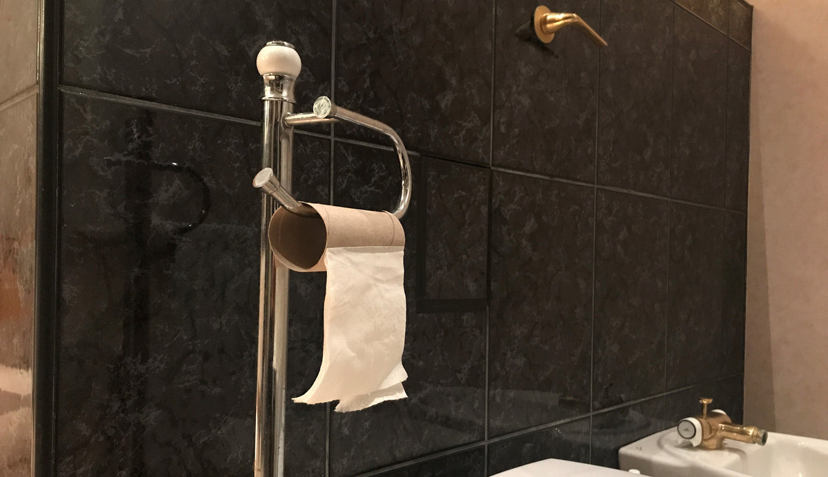 A photo of a toilet roll with out piece left