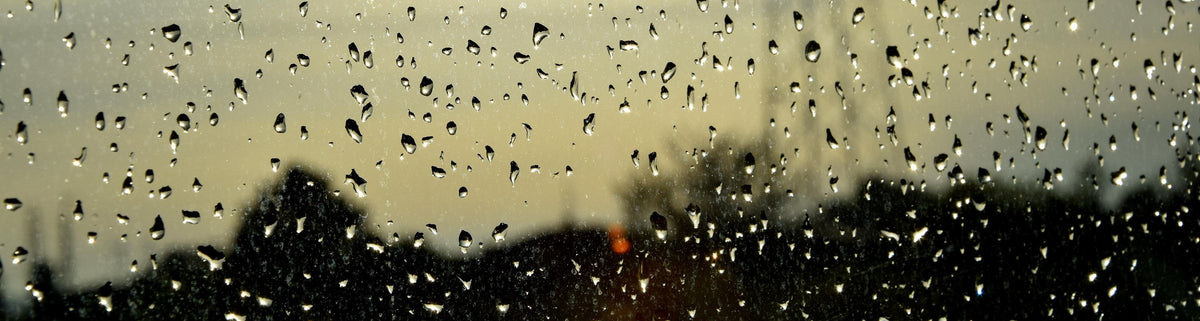 Rain on a window pane