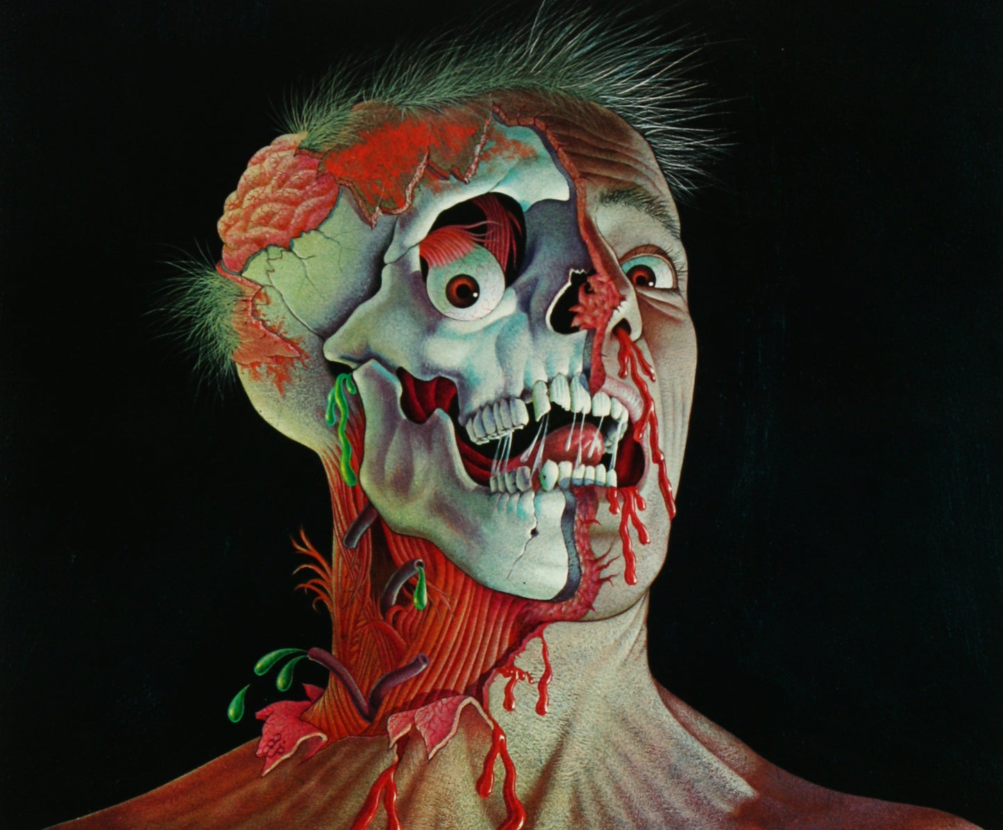 The Dead Are Alive - 1972