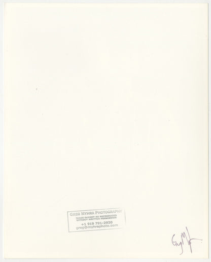 An original publicity photo of The Rolling Stones signed by Greg Myrha