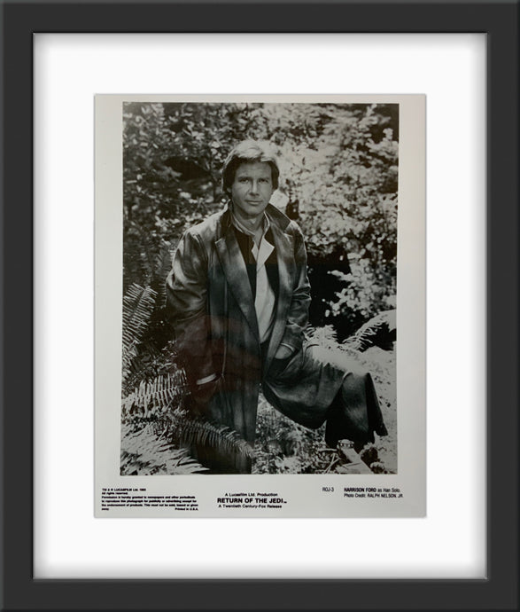 Star Wars - Return of the Jedi - 1983 (Framed)