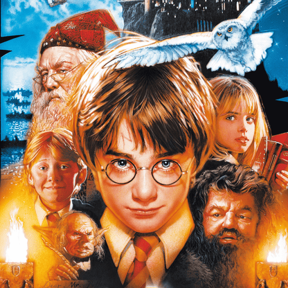 An original DVD and Video poster for the film Harry Potter and the Philosopher's Stone / Sorcerer's Stone