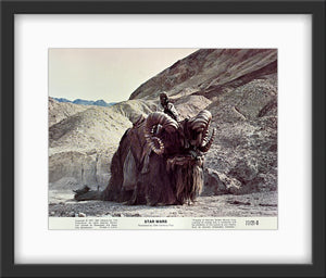 An original 8x10 lobby card for the film Star Wars (1977) / A New Hope