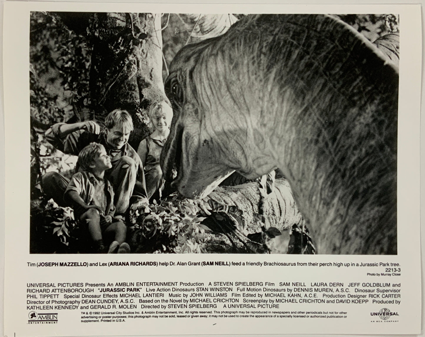 An original movie still for the film Jurassic Park