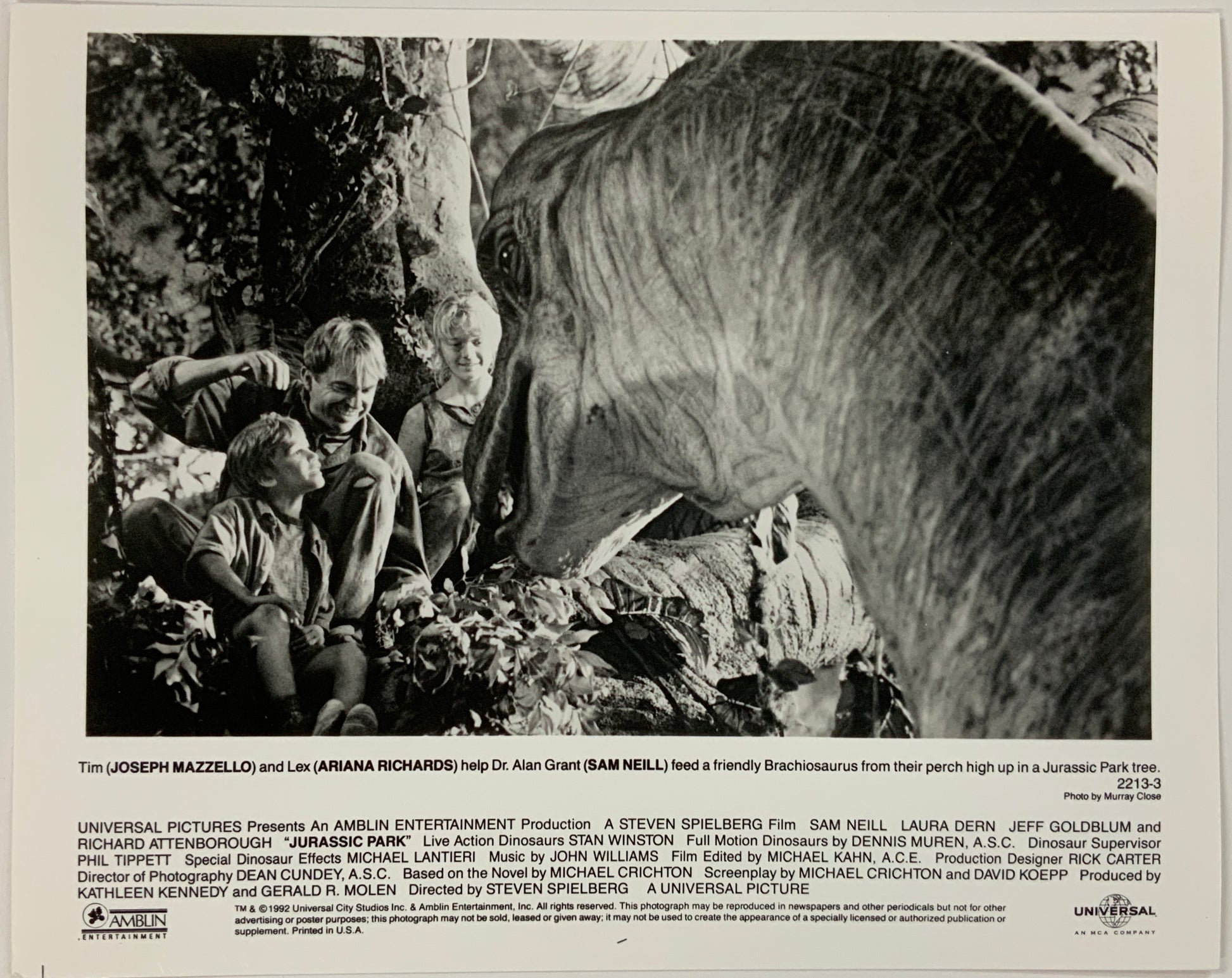 An original movie still for the film Jurassic Park