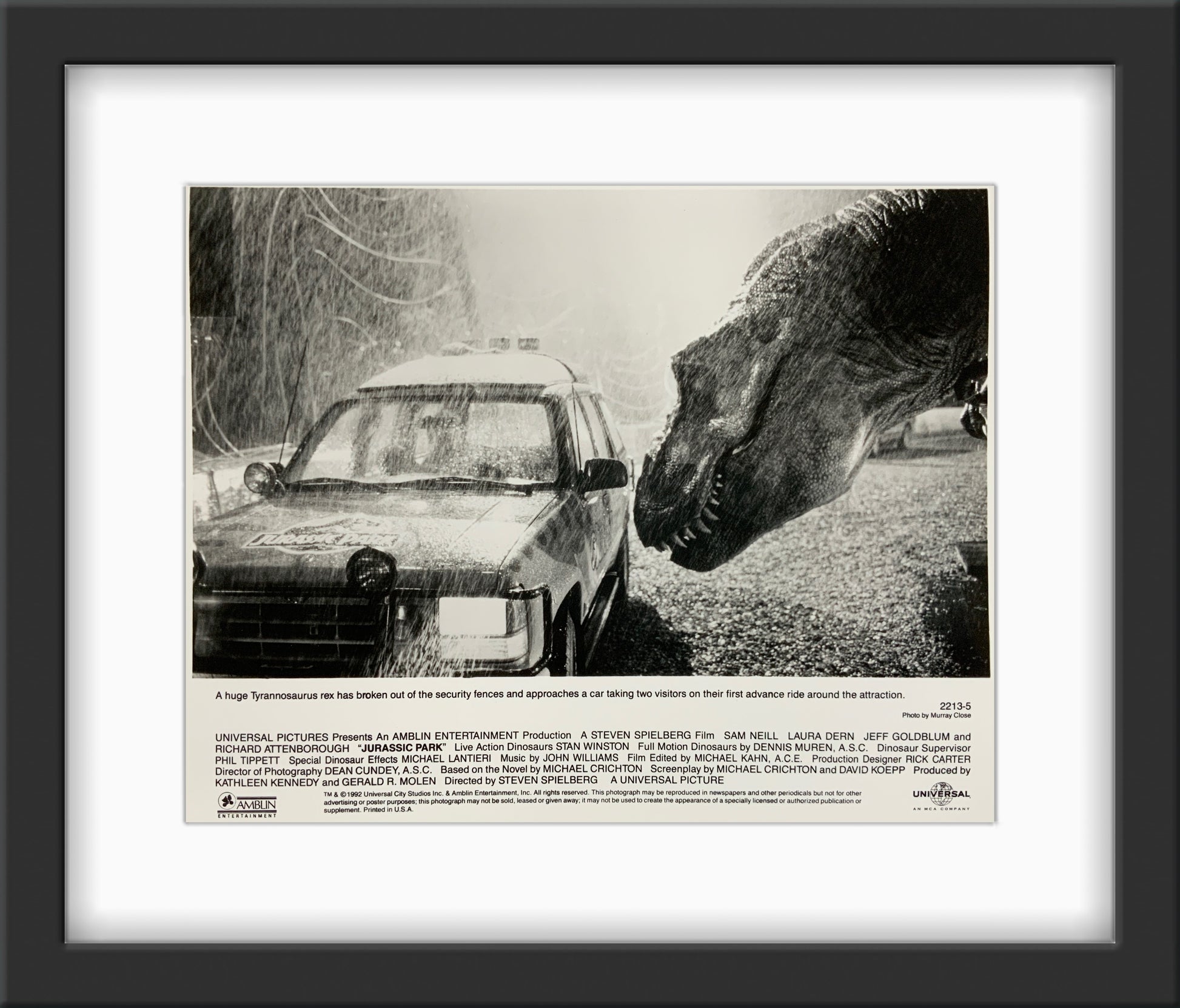 An original 8x10 movie still for the film Jurassic Park