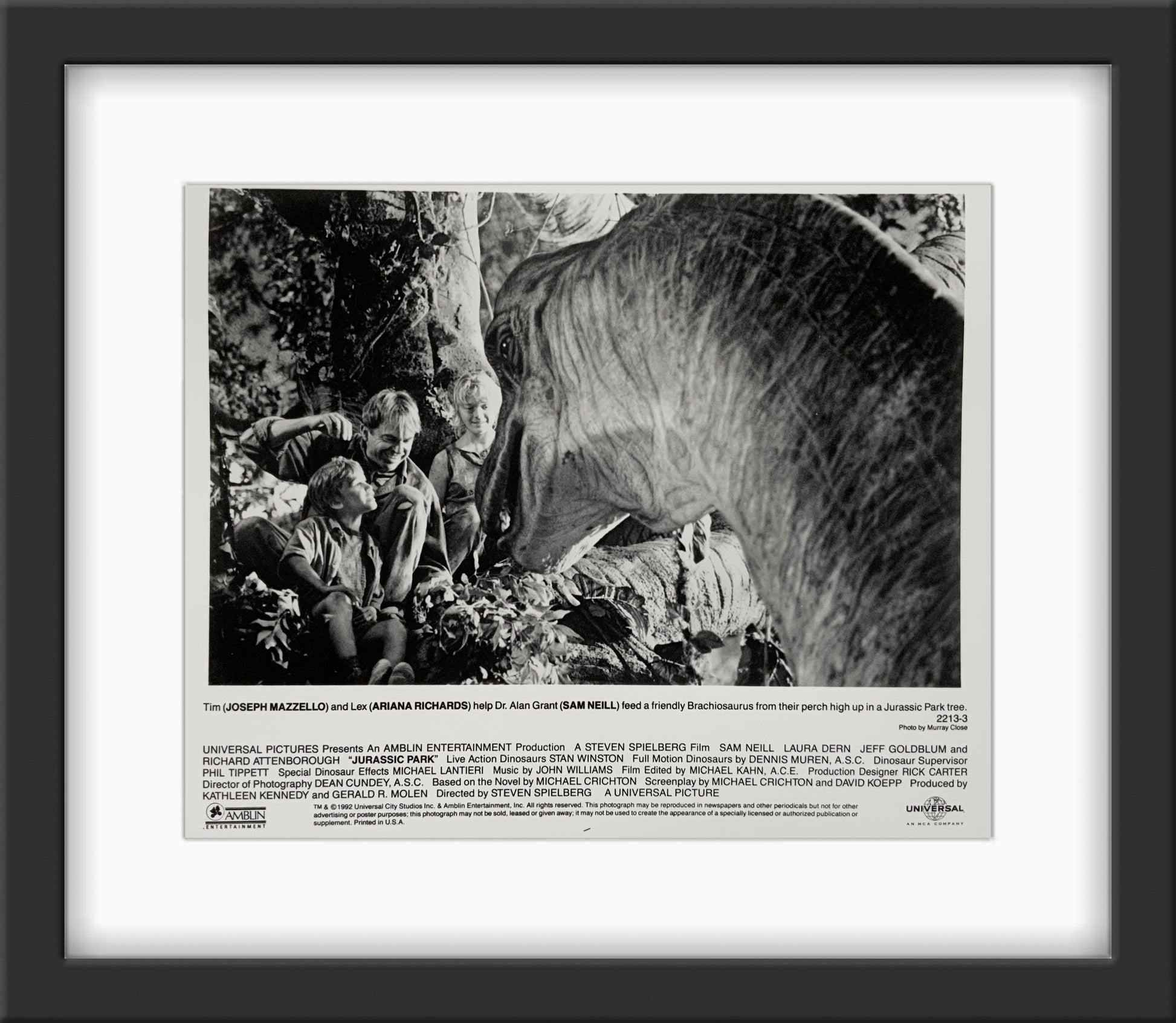 An original movie still for the film Jurassic Park