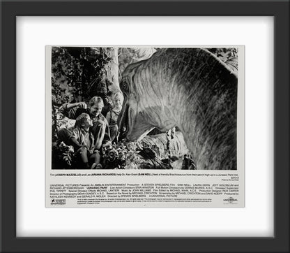 An original movie still for the film Jurassic Park