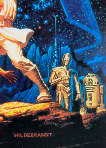 An original one sheet poster with art by the HIldebrandt brothers for the 15th Anniversary of Star Wars
