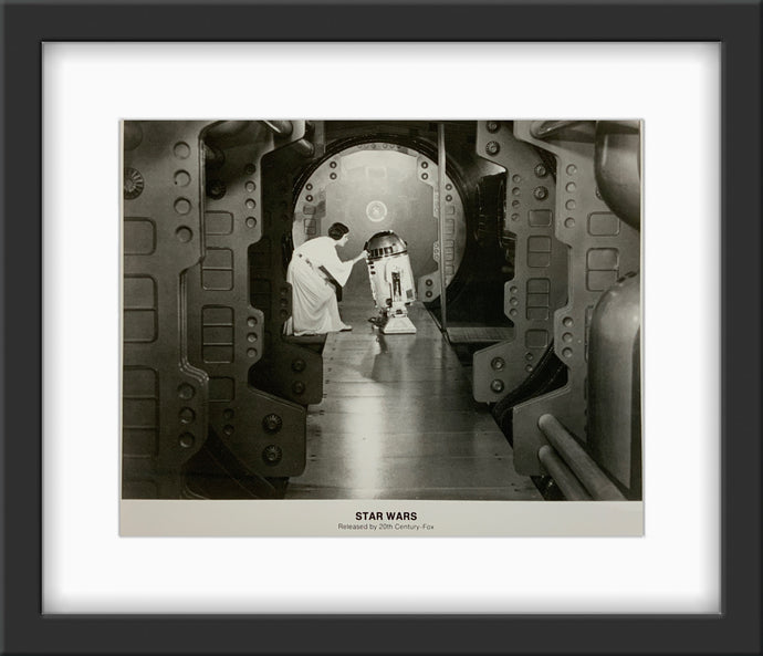 An original 8x10 movie still for the George Lucas film Star Wars / A New Hope / Episode 4 / IV