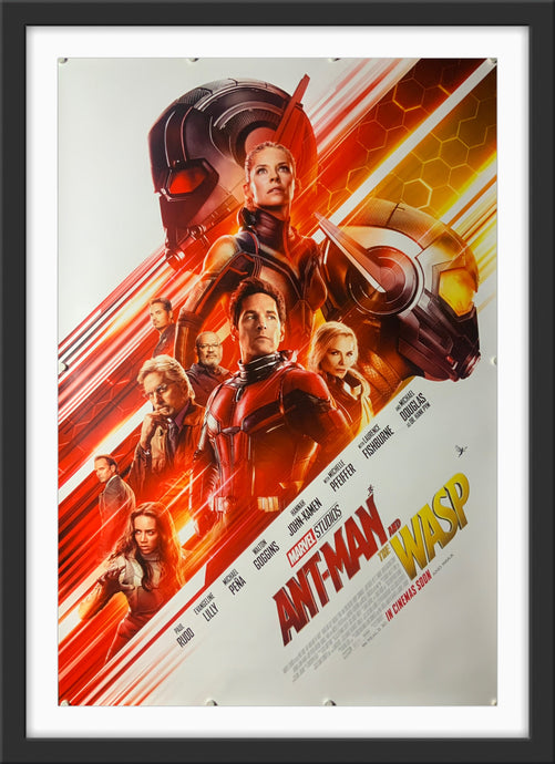An original movie poster for the Marvel MCU film Ant-Man and the Wasp