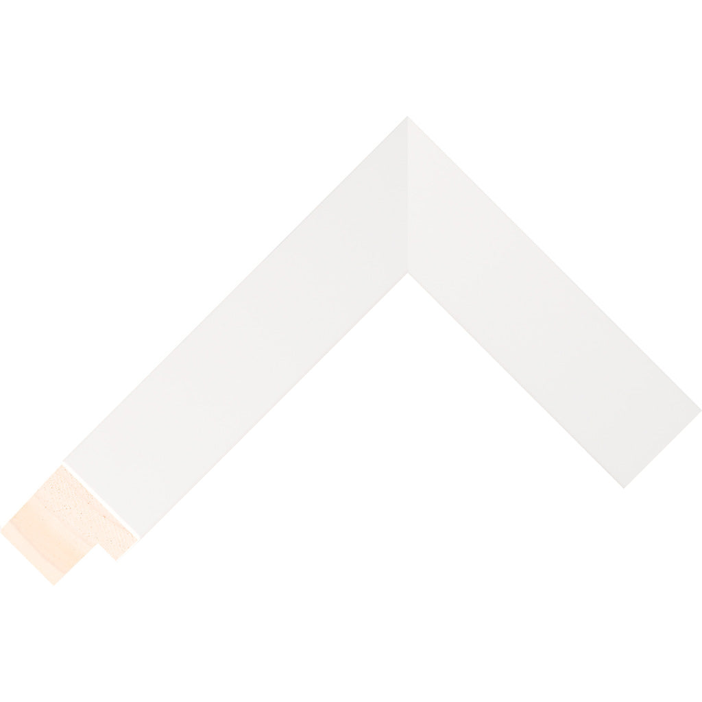 Frame for a Japanese B2 Movie Poster