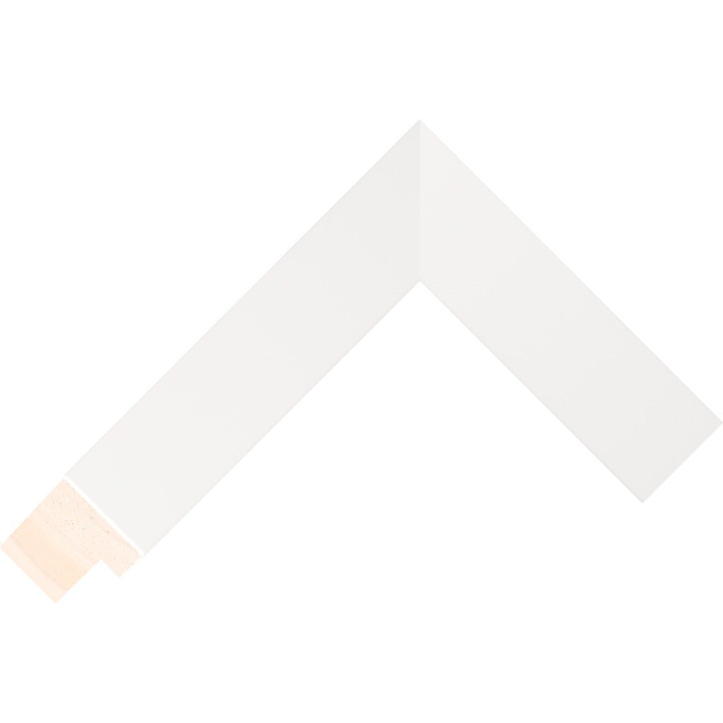 Frame for a Japanese B2 Movie Poster