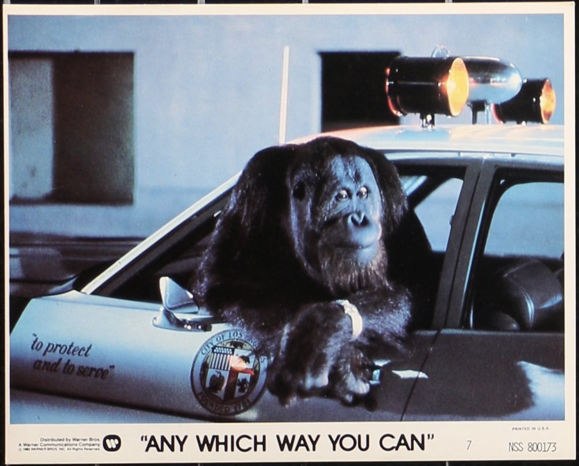 Any Which Way You Can - 1980