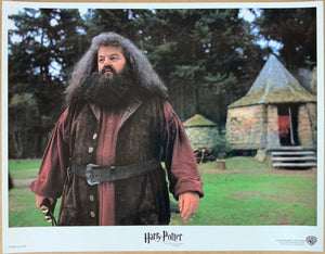 An original 11x14 lobby card for the Wizarding World film Harry Potter and the Philosopher's Stone