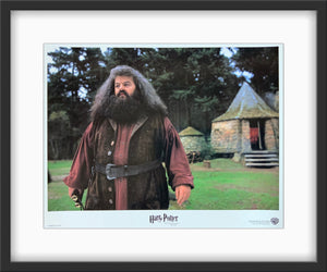 An original 11x14 lobby card for the Wizarding World film Harry Potter and the Philosopher's Stone