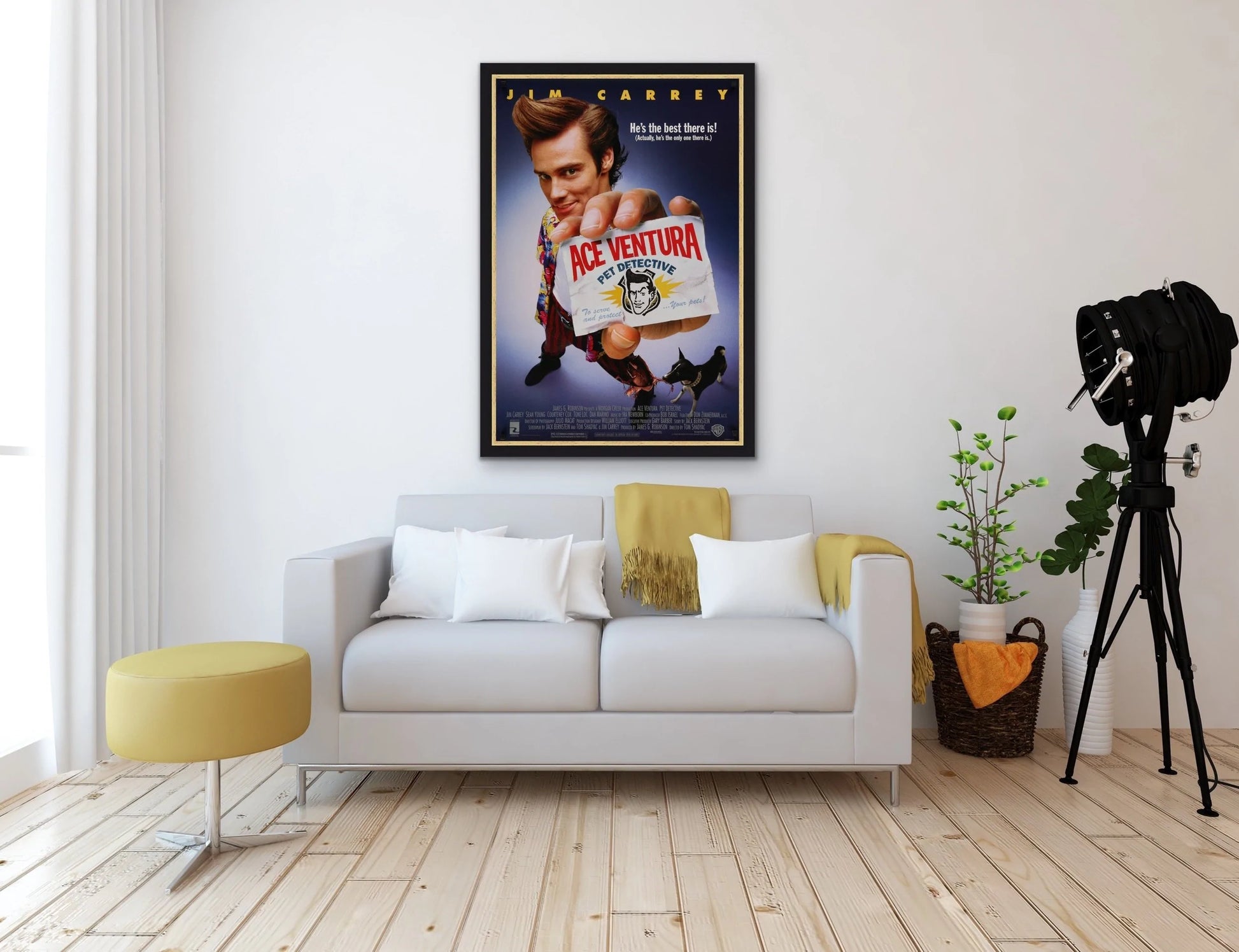 An original movie poster for the Jim Carrey film Ace Ventura: Pet Detective