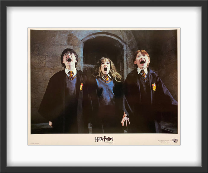 An original 11x14 lobby card for the film Harry Potter and the Philosopher's Stone