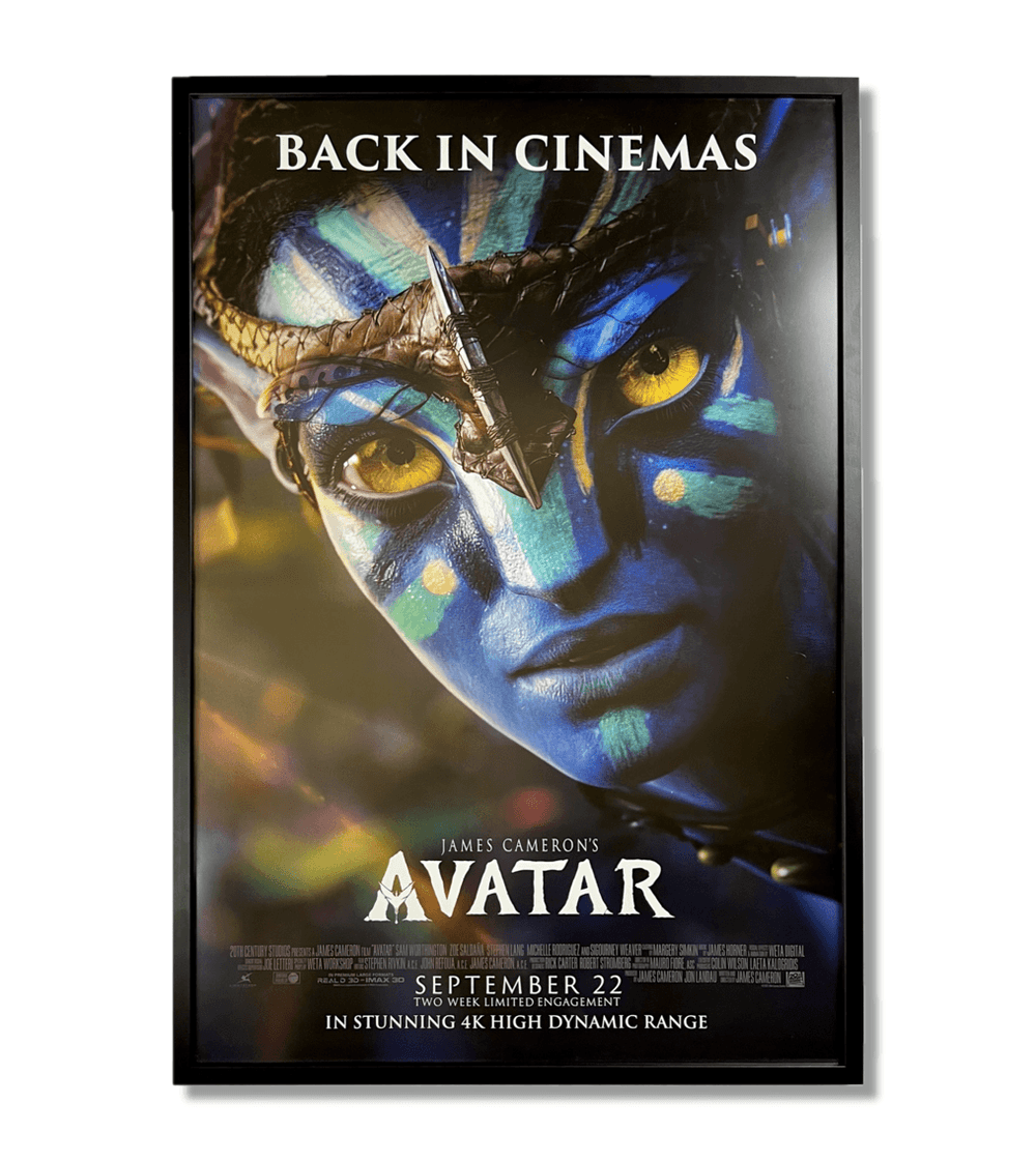The Art of the Movies 'Off The Shelf' 27x40 movie poster frame