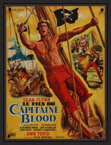 An original film / movie poster for "The Son of Captain Blood"