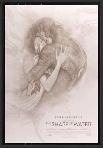 An original movie poster for the film The Shape of Water