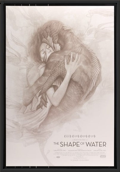 An original movie poster for the film The Shape of Water